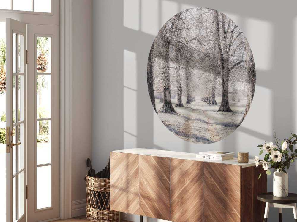 Ślady opon między drzewami