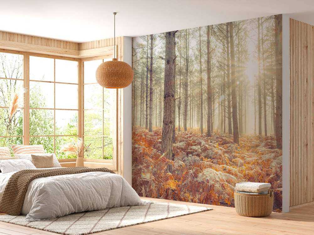 Promienie słońca przez zimne drzewa