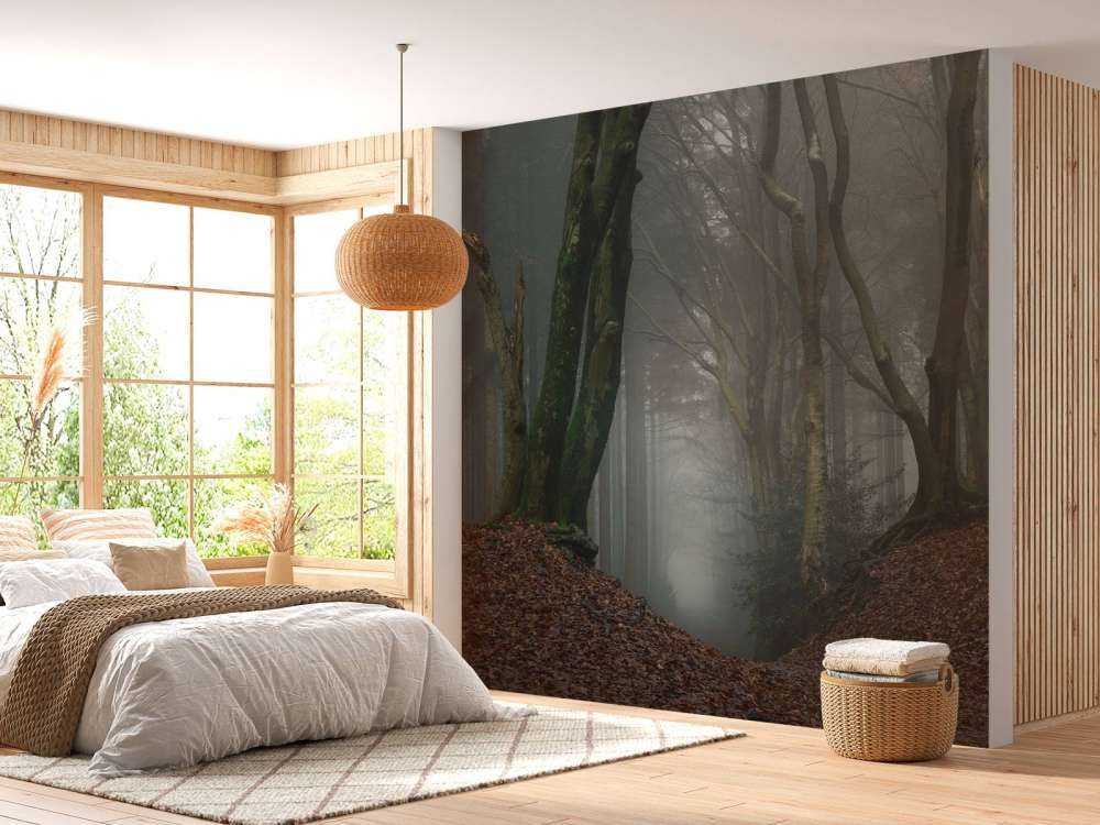 Ścieżka przez tajemniczy las