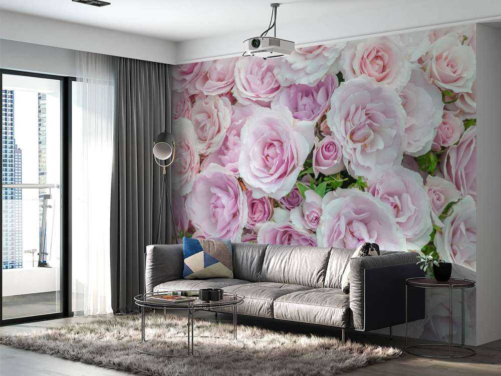 Kolorowe róże białe i różowe