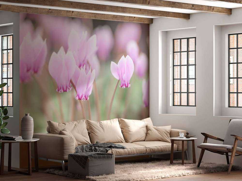 Ładne kwiaty bluszczu