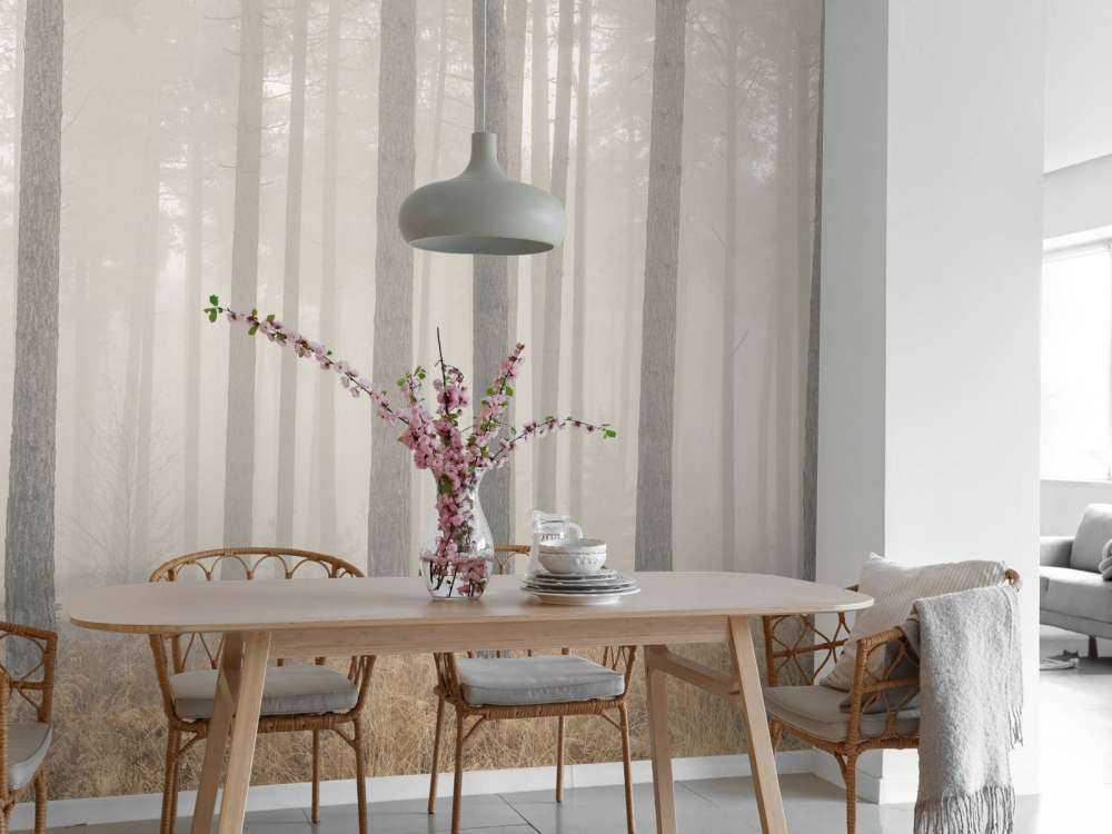 Mglisty, tajemniczy las