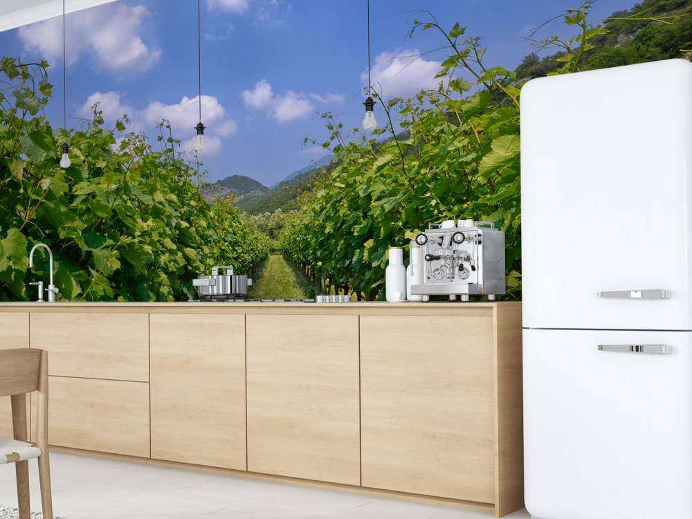 Winnica we Włoszech