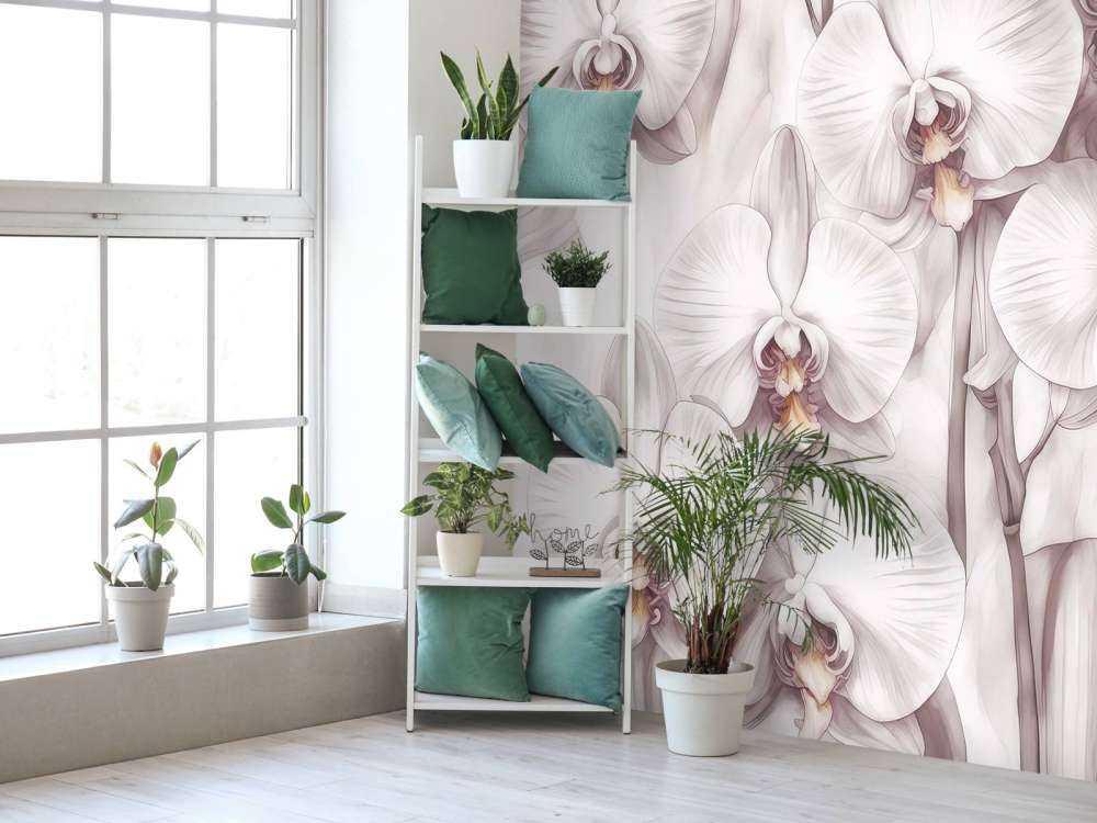 Raj Orchidei Czerwony