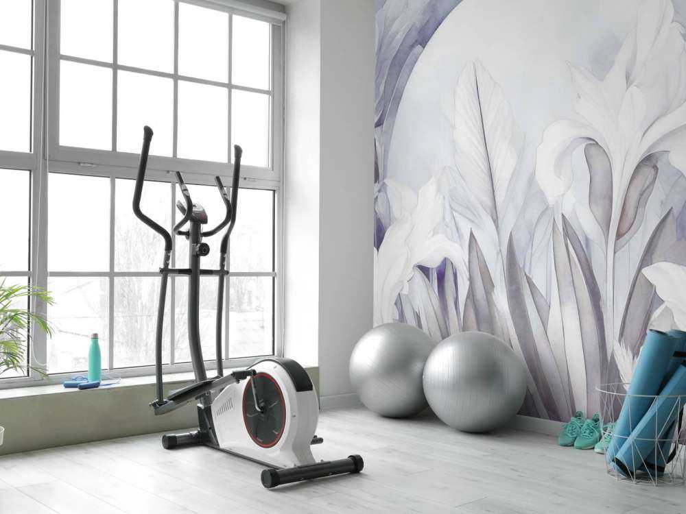 Irysy o wschodzie słońca fioletowe