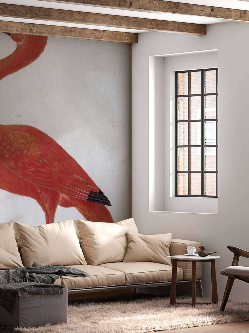 Czerwony Ibis z jajkiem