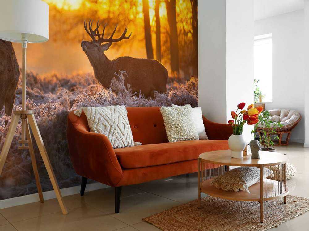 Jeleń o zachodzie słońca