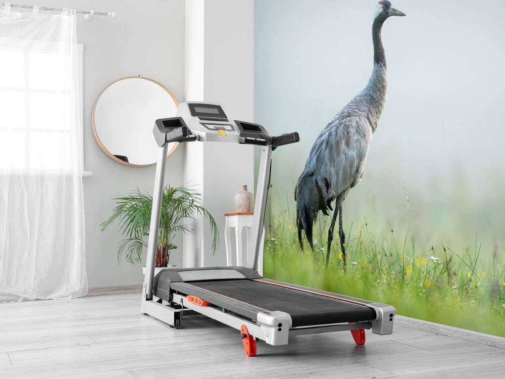 Żuraw w porannej mgle