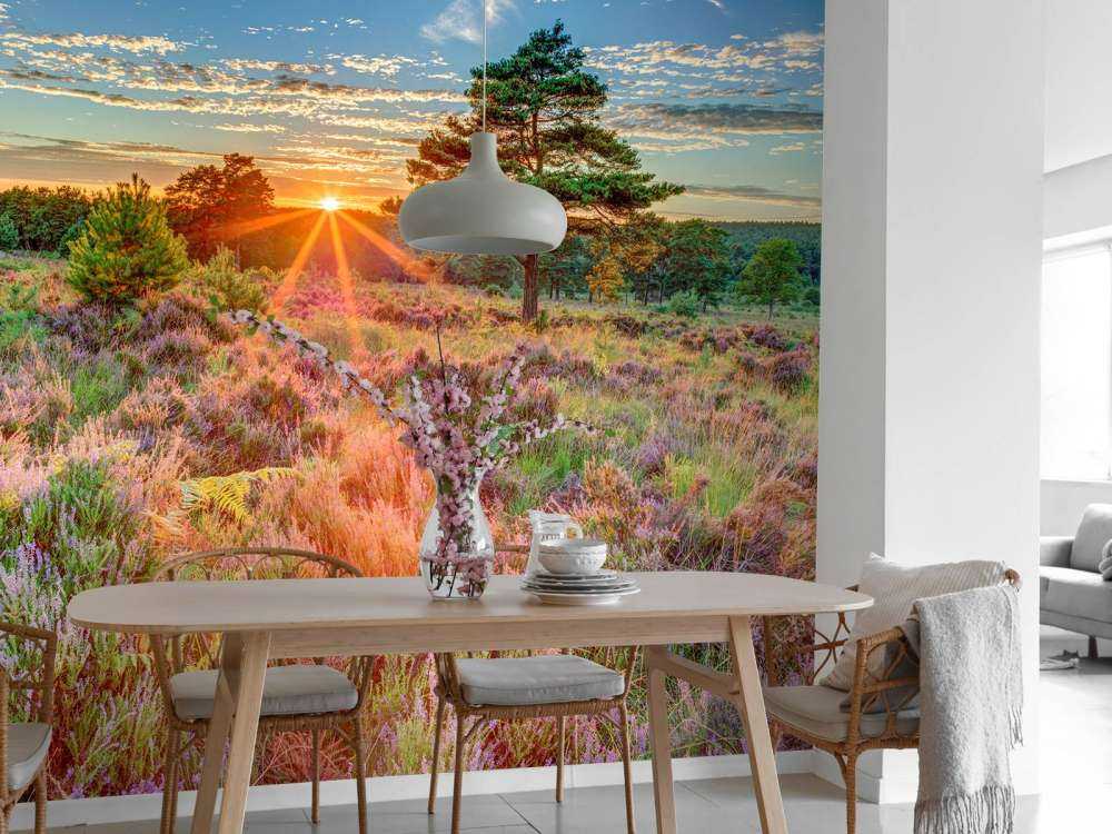 Zachód słońca na wsi