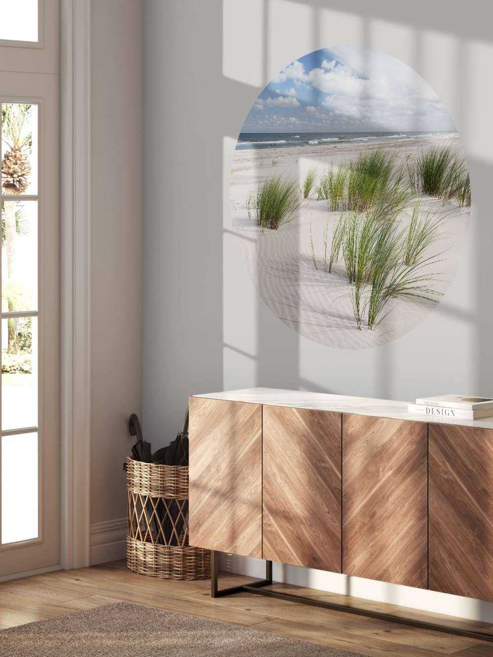 Plaża z roślinami wydmowymi