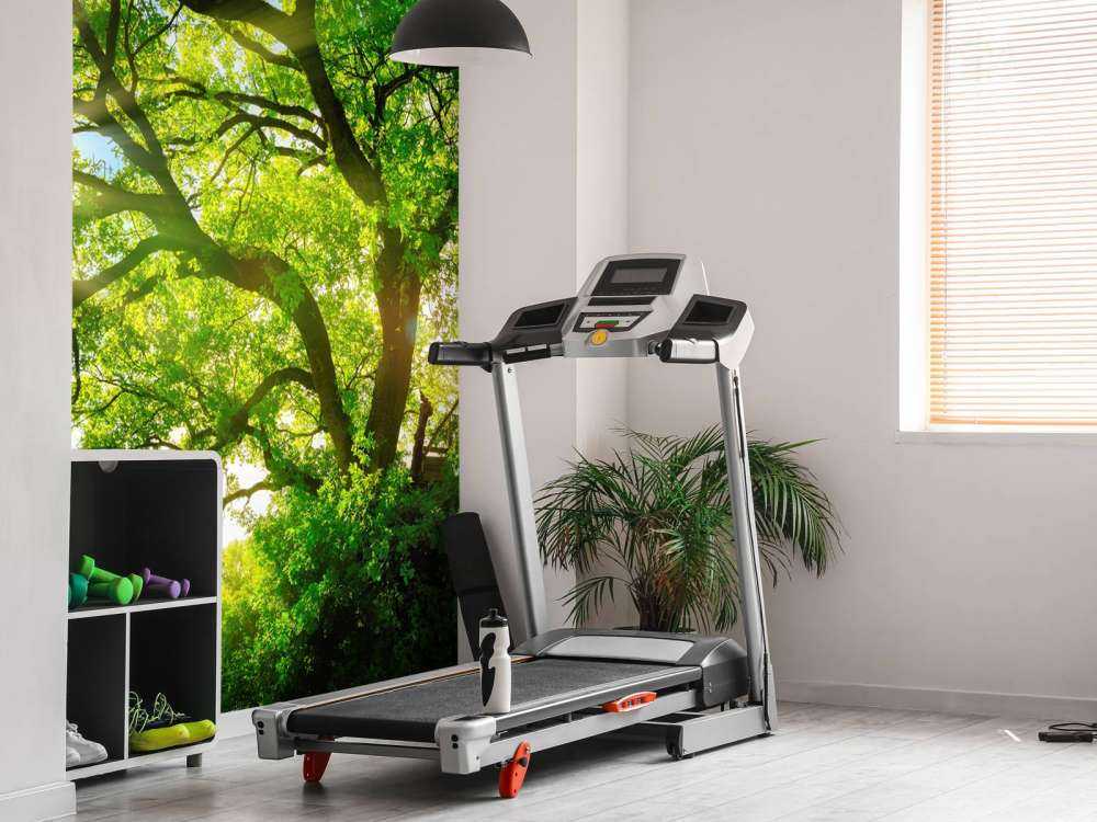 Drzewo z promieniami słońca