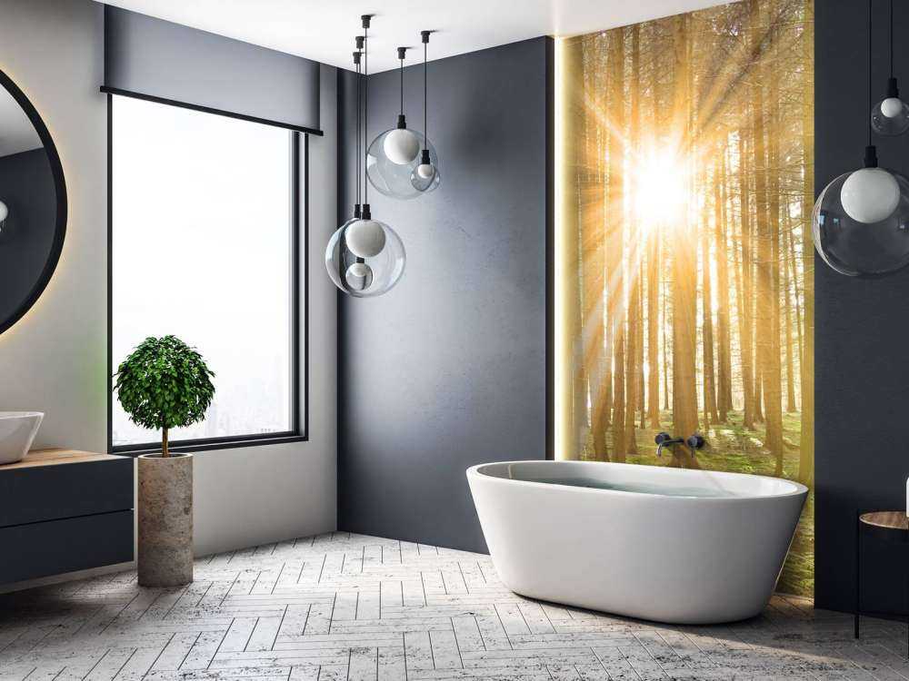 Las sosnowy z blaskiem słońca