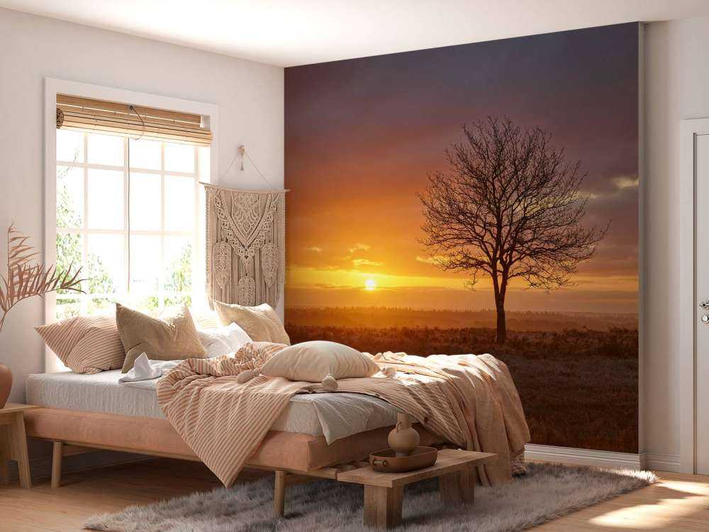 Kolorowy wschód słońca na wrzosowisku