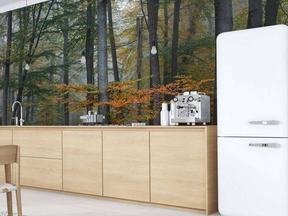 Jesienne kolory w zamglonym lesie