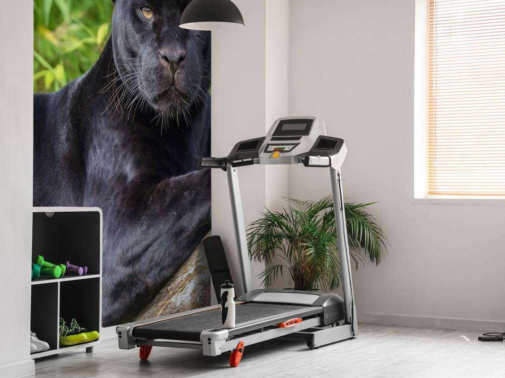 Czarna pantera na drzewie