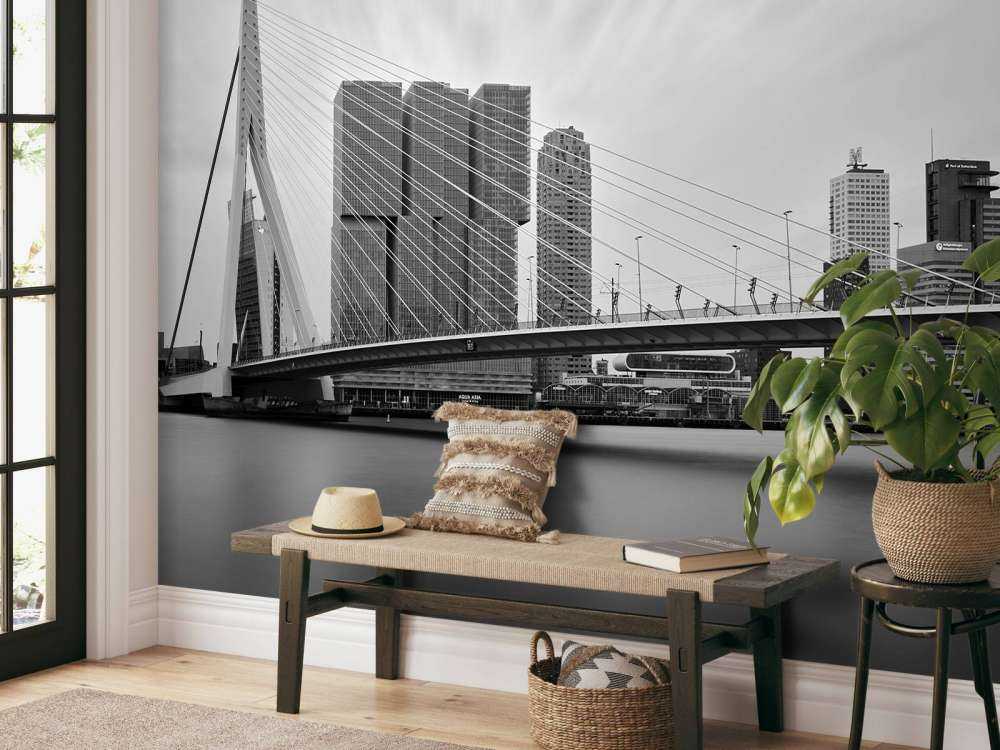 Mostek Erasmusa czarno-biały 