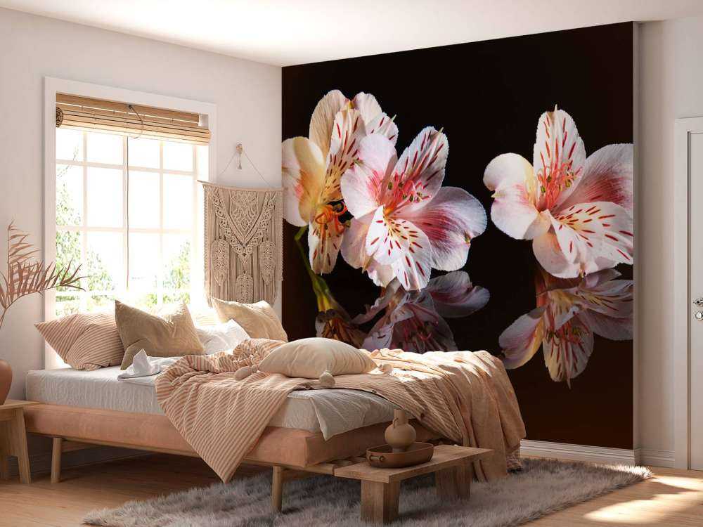 Kwiaty Alstroemerii z odbiciem