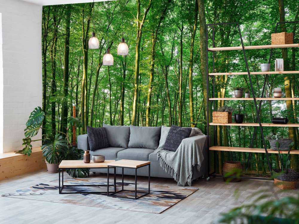 Zielony las ze światłem słonecznym