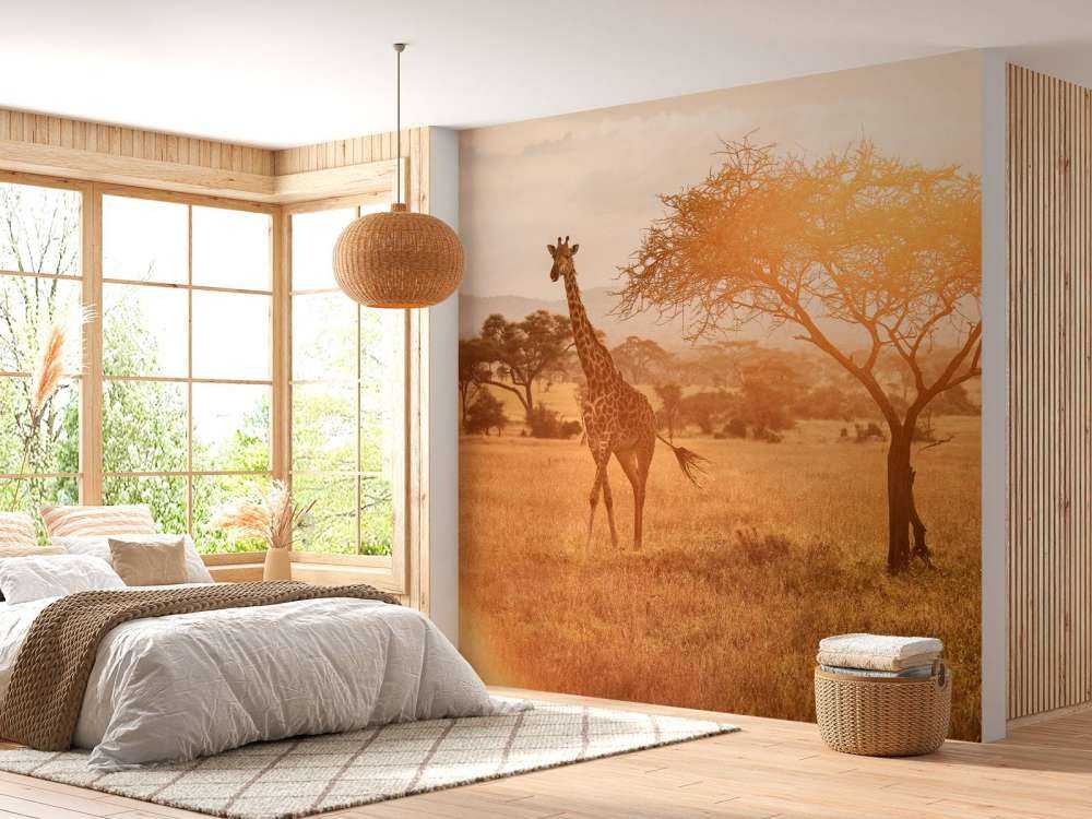 Wild giraffe