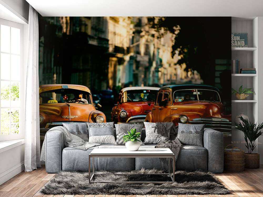 Come with me in the morning light