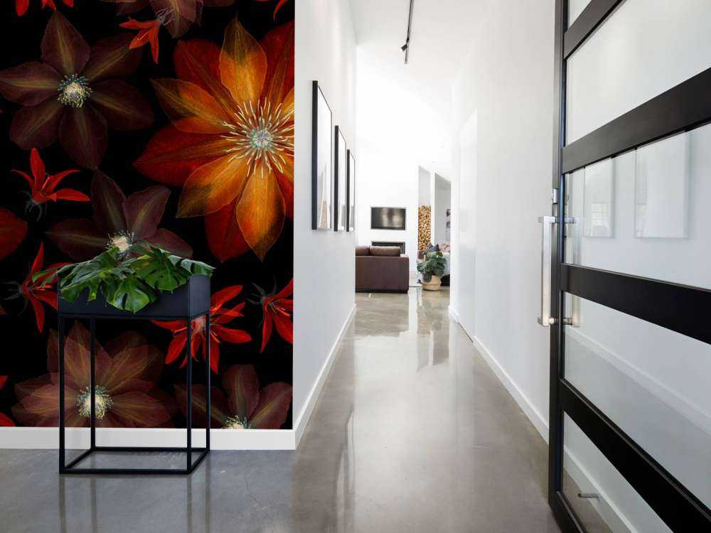 Czerwone kwiaty clematisa