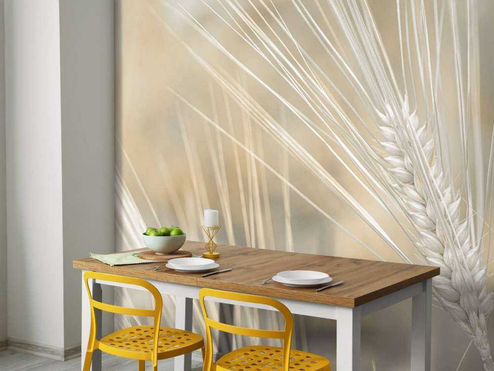 Zbliżenie na pszenicę