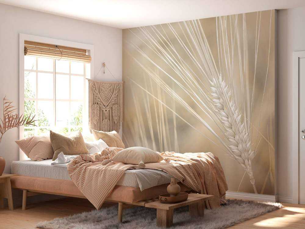 Zbliżenie na pszenicę