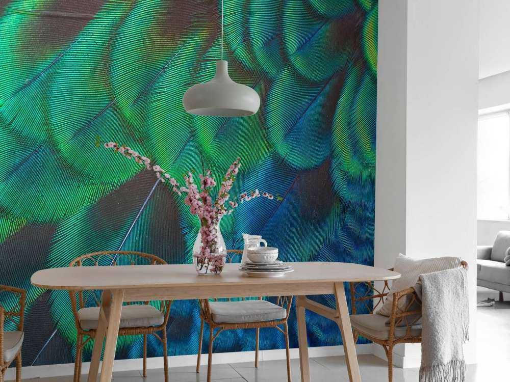 Zbliżenie na pawie pióra