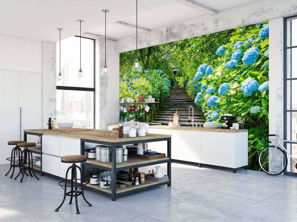 Schody między hortensjami