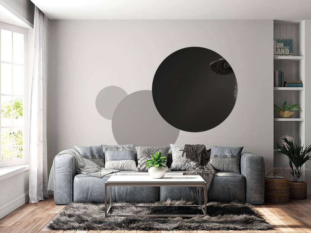 Zbliżenie na czarną i białą owcę