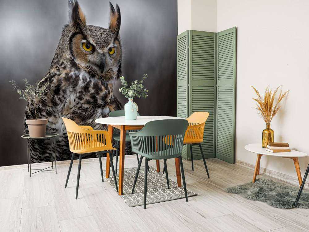 Sowa z brązowymi piórami