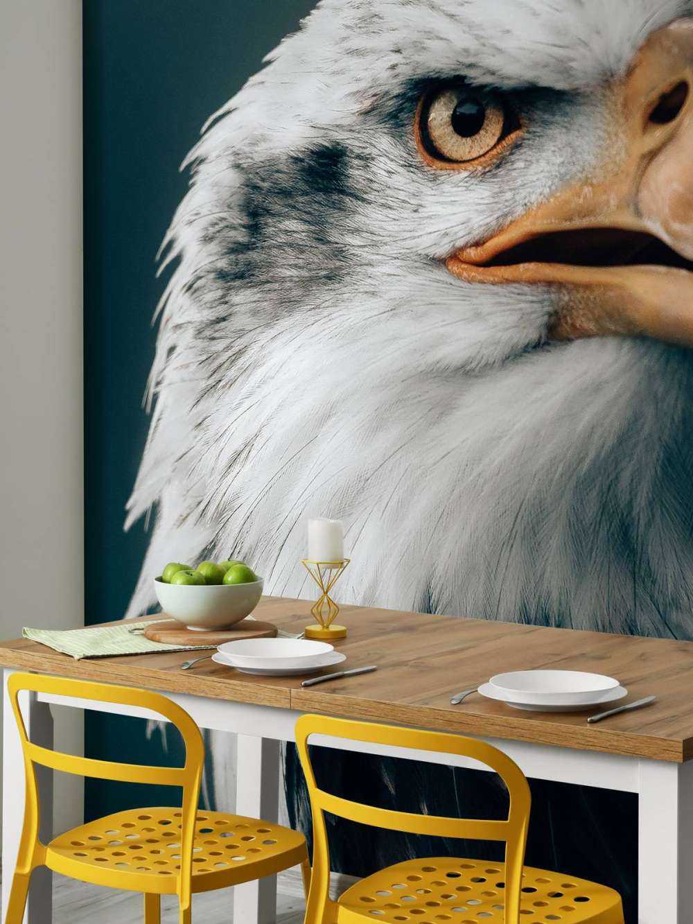 Spoglądający orzeł morski