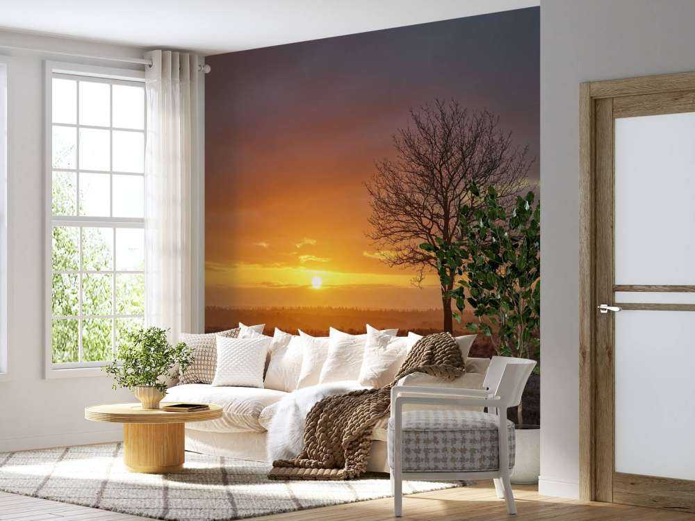 Kolorowy wschód słońca na wrzosowisku