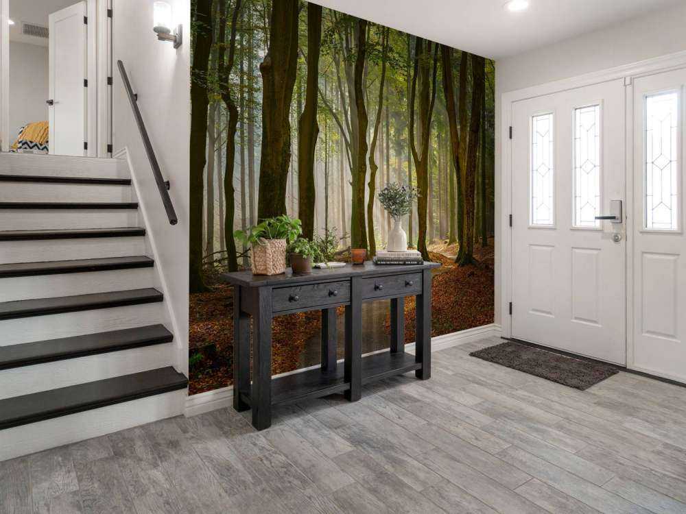 Promienie słońca na ścieżce przez las