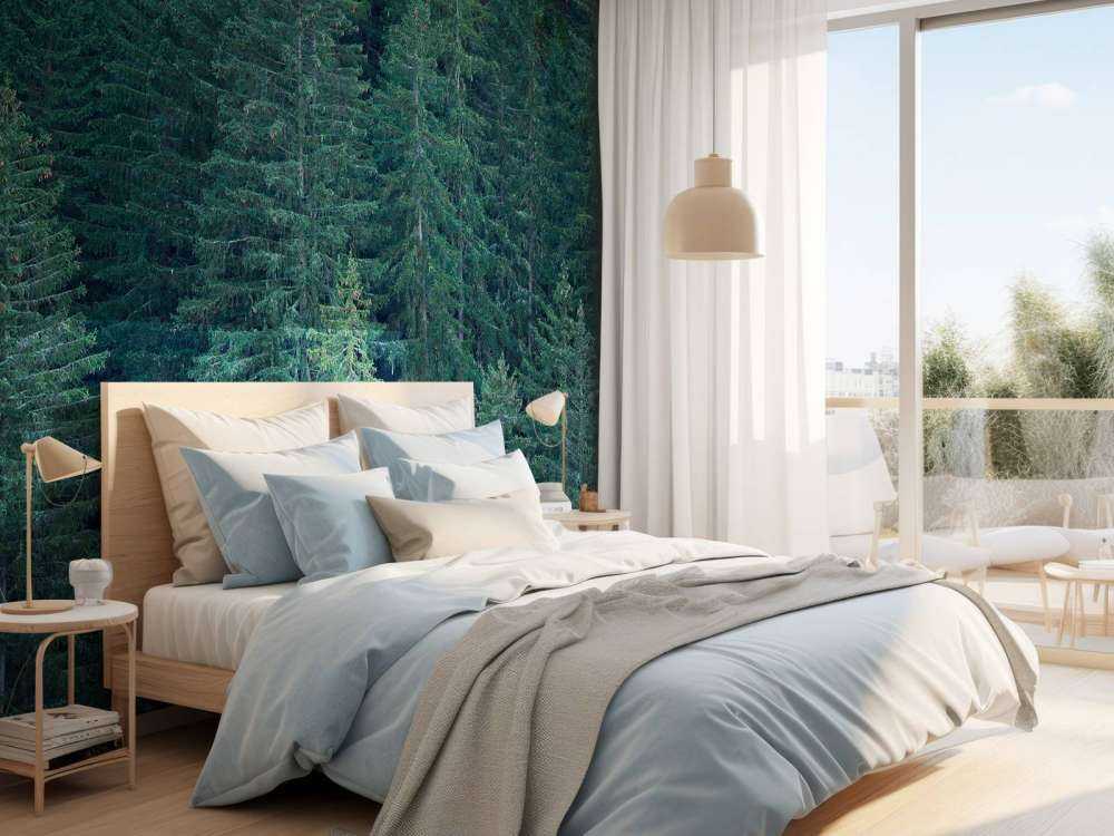 Drzewa iglaste z szyszkami sosnowymi