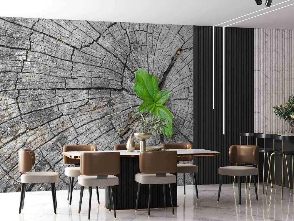 Średnica pnia drzewa 