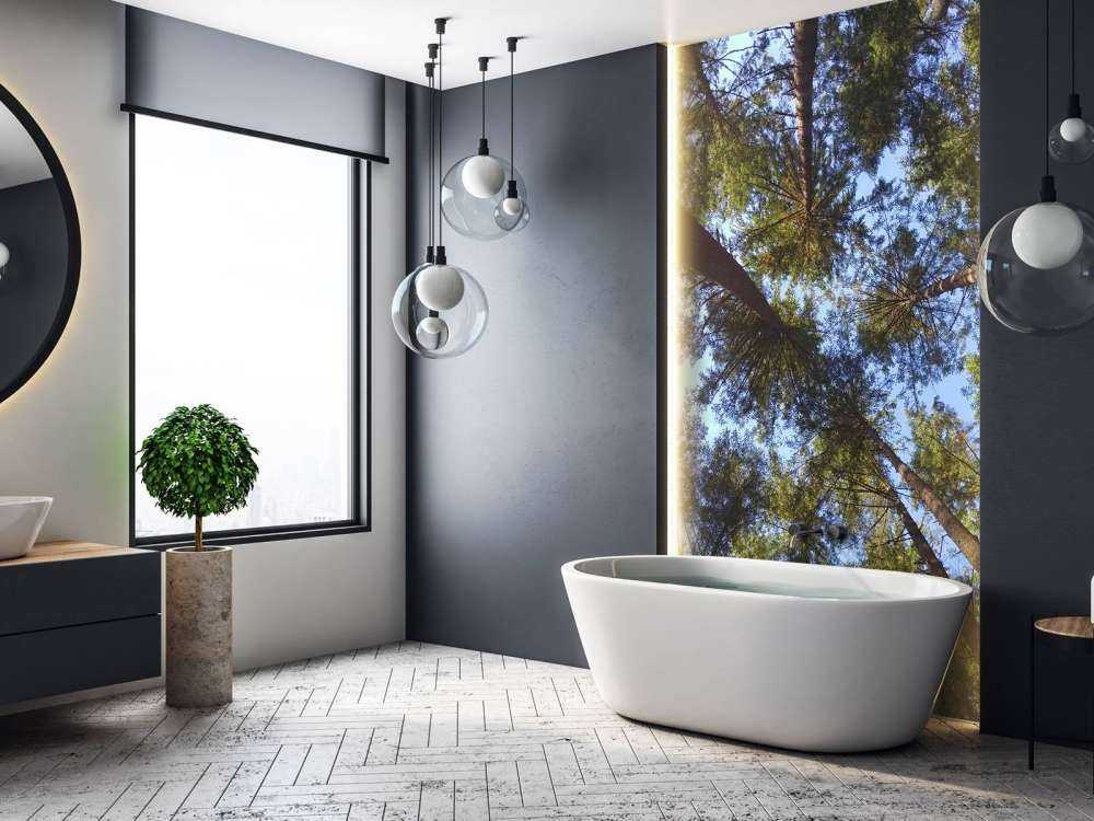 Wysokie drzewa iglaste