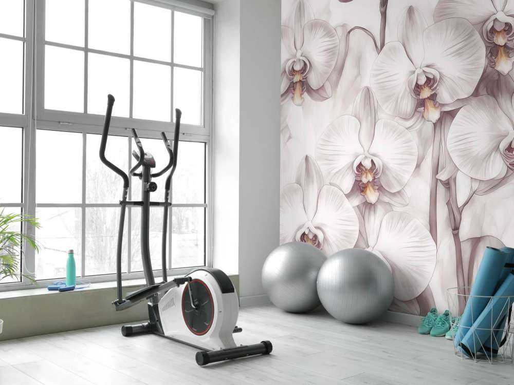 Raj Orchidei Czerwony