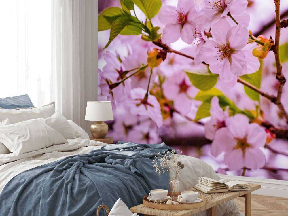 Różowe kwiaty z płatkami