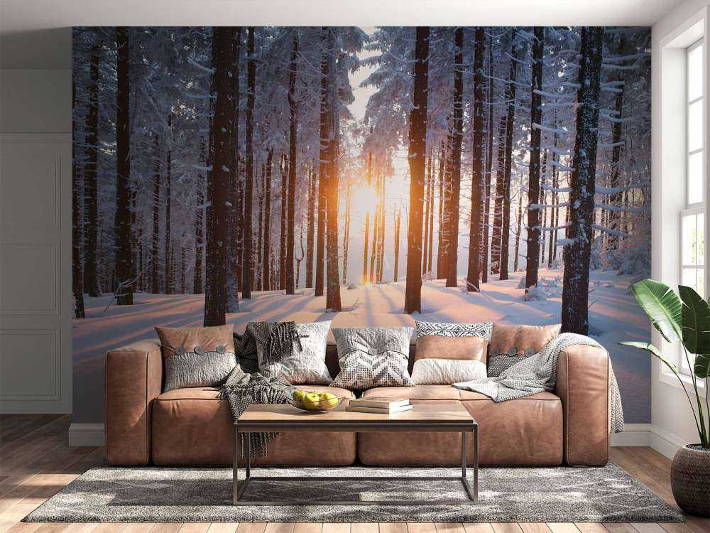 Zachód słońca w zimowym lesie