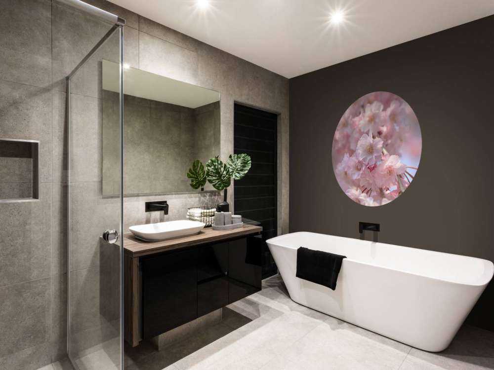 Zbliżenie na różowe kwiaty