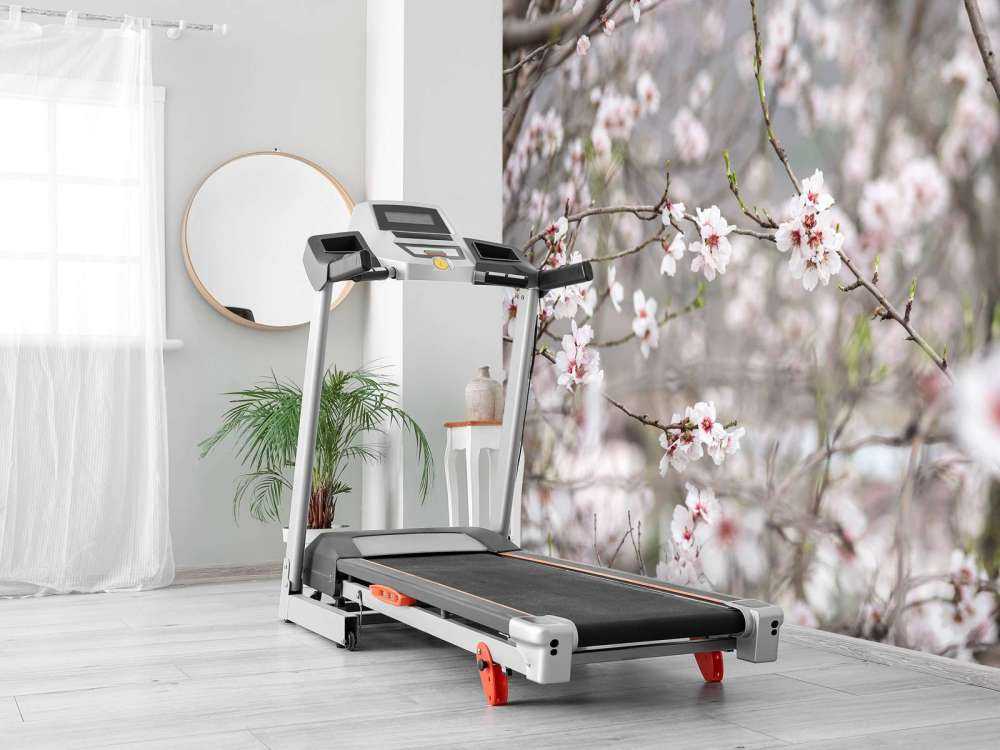 Różowo-białe kwiaty