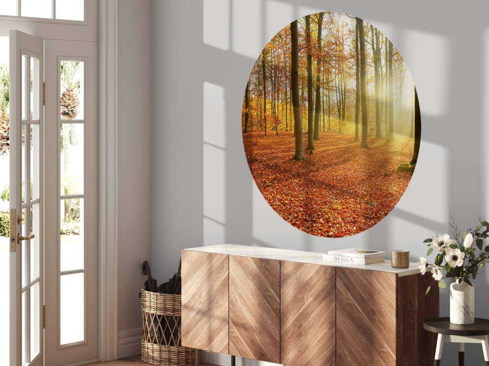 Jesienny poranek w lesie