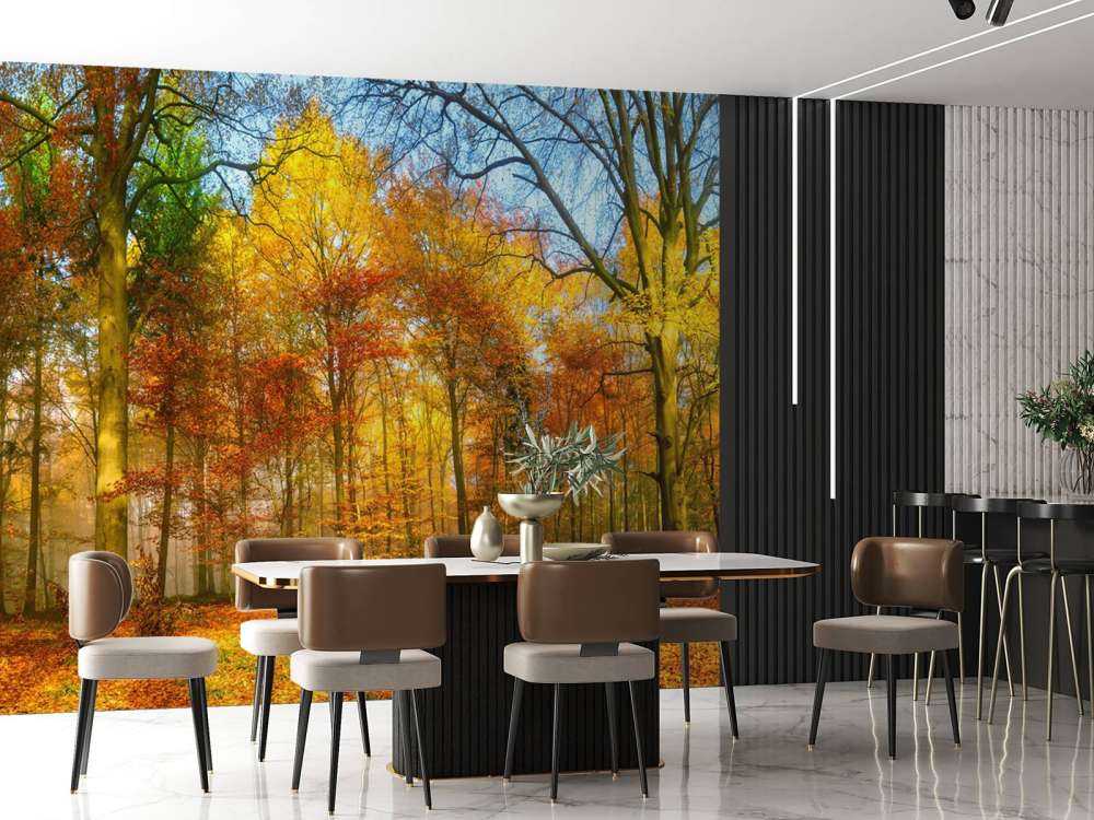 Kolorowa panorama lasu