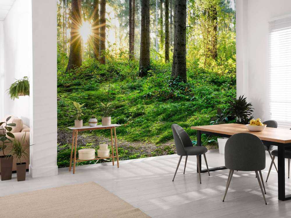 Leśna panorama na wiosnę