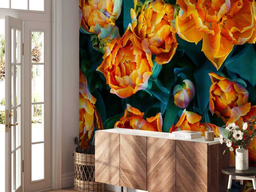 Zbliżenie na pomarańczowe tulipany