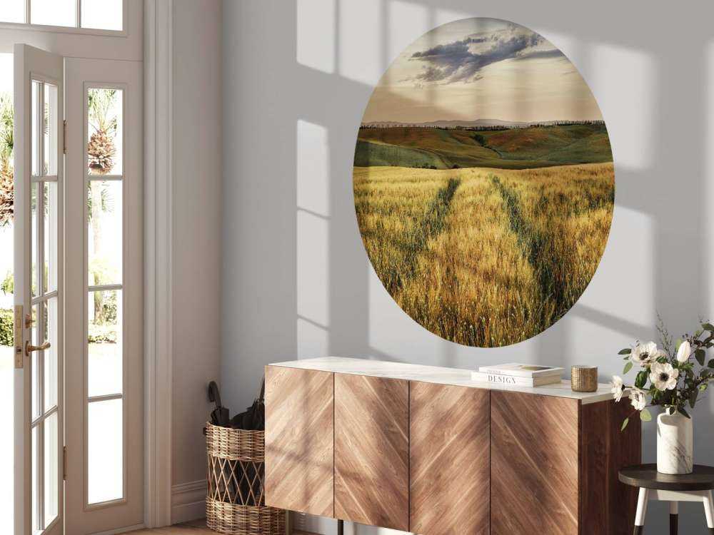 Pole zbożowe z torami