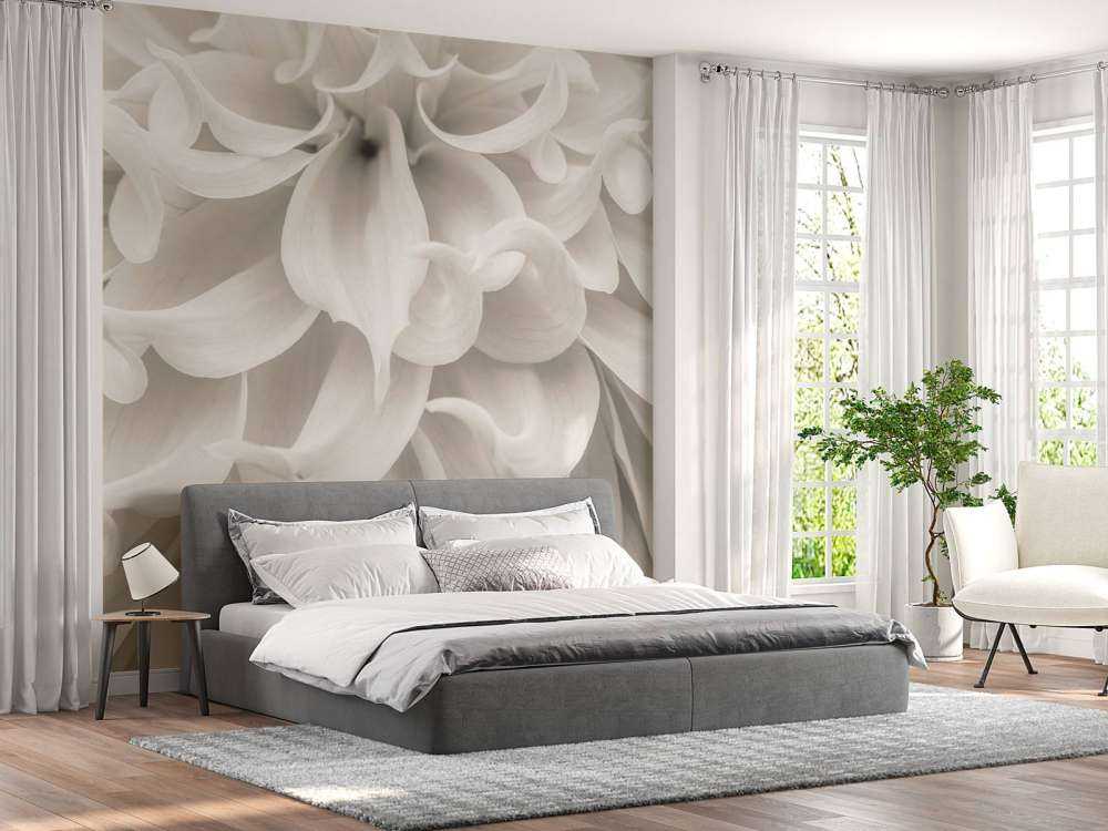 Zbliżenie na kwiat dalii