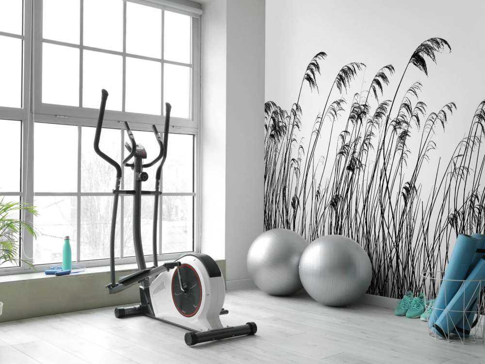 Trzcina wzdłuż nabrzeża w czerni i bieli