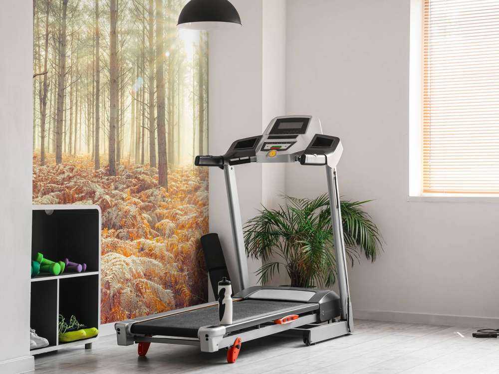 Promienie słońca przez zimne drzewa